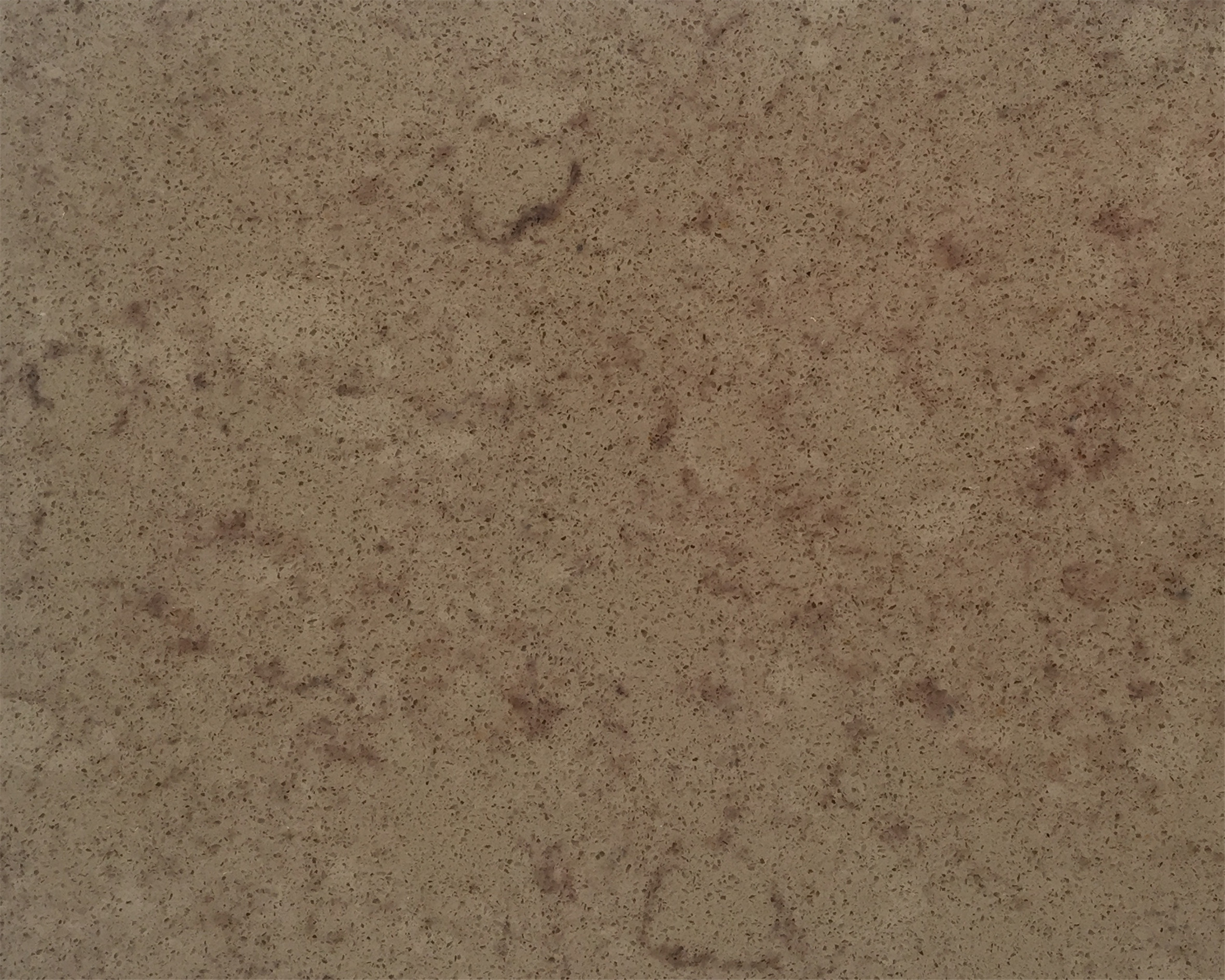 DL-12604查菲比棕